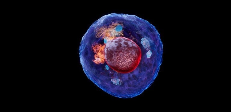 The Circadian Rhythm – Endungsreise bis auf Zellebene