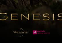 Genesis: Die Entstehungsgeschichte des Menschen